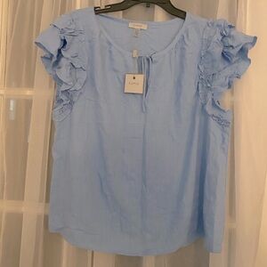 Cupio Sky Blue Ruffle Sleeve Top